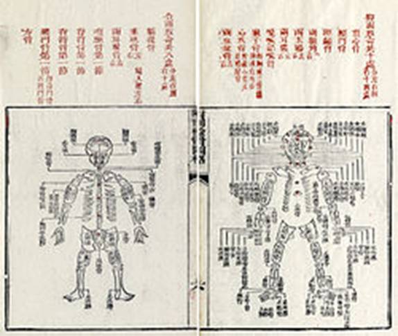 https://upload.wikimedia.org/wikipedia/commons/thumb/1/18/Xiyuanlu_jizheng-1843-Bones.jpg/250px-Xiyuanlu_jizheng-1843-Bones.jpg