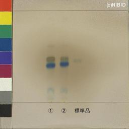 http://mpdb.nibiohn.go.jp/CONTENTS_ROOT/JP_IDENTIFICATION_PHOTO_DATA/JP_IDENTIFICATION_PHOTO_FILE/thumbnail/999.jpg