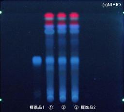 http://mpdb.nibiohn.go.jp/CONTENTS_ROOT/JP_IDENTIFICATION_PHOTO_DATA/JP_IDENTIFICATION_PHOTO_FILE/thumbnail/1197.JPG
