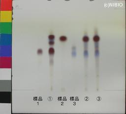 http://mpdb.nibiohn.go.jp/CONTENTS_ROOT/JP_IDENTIFICATION_PHOTO_DATA/JP_IDENTIFICATION_PHOTO_FILE/thumbnail/1151.jpg