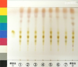http://mpdb.nibiohn.go.jp/CONTENTS_ROOT/JP_IDENTIFICATION_PHOTO_DATA/JP_IDENTIFICATION_PHOTO_FILE/thumbnail/1346.jpg