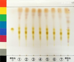 http://mpdb.nibiohn.go.jp/CONTENTS_ROOT/JP_IDENTIFICATION_PHOTO_DATA/JP_IDENTIFICATION_PHOTO_FILE/thumbnail/1347.jpg