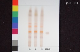http://mpdb.nibiohn.go.jp/CONTENTS_ROOT/JP_IDENTIFICATION_PHOTO_DATA/JP_IDENTIFICATION_PHOTO_FILE/thumbnail/535.jpg