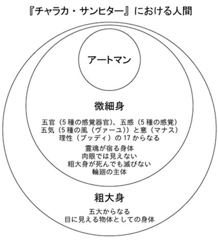 https://upload.wikimedia.org/wikipedia/commons/thumb/8/82/Charaka_Samhita_human_Japanese.png/380px-Charaka_Samhita_human_Japanese.png