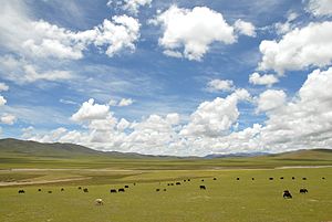 https://upload.wikimedia.org/wikipedia/commons/thumb/b/bf/Tibet_landscape.jpg/300px-Tibet_landscape.jpg
