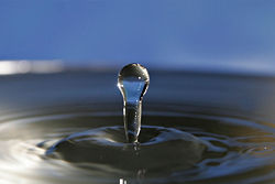 https://upload.wikimedia.org/wikipedia/commons/thumb/f/fc/Water_droplet_blue_bg05.jpg/250px-Water_droplet_blue_bg05.jpg