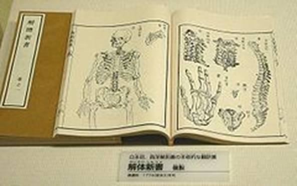 https://upload.wikimedia.org/wikipedia/commons/thumb/8/85/First_Japanese_treatise_on_Western_anatomy.jpg/240px-First_Japanese_treatise_on_Western_anatomy.jpg