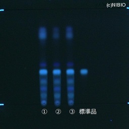 http://mpdb.nibiohn.go.jp/CONTENTS_ROOT/JP_IDENTIFICATION_PHOTO_DATA/JP_IDENTIFICATION_PHOTO_FILE/thumbnail/415.jpg