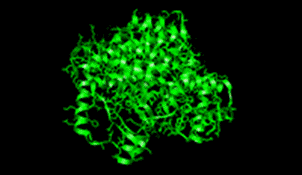 https://upload.wikimedia.org/wikipedia/commons/thumb/b/b8/Citrate_synthase_Closed_form.png/200px-Citrate_synthase_Closed_form.png