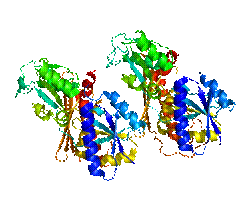 Protein HMBS PDB 3ECR.png