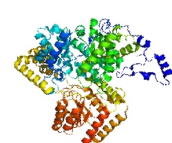 Protein MUT PDB 2XIJ.png