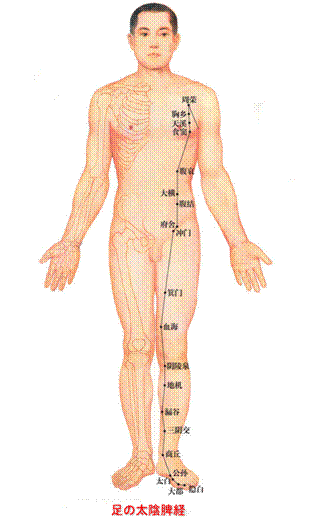 足の太陰脾経翁鍼灸