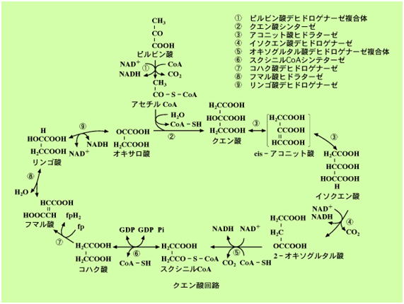 図