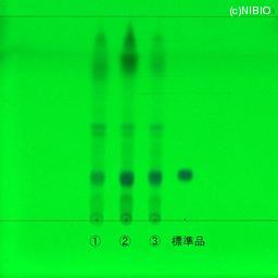 http://mpdb.nibiohn.go.jp/CONTENTS_ROOT/JP_IDENTIFICATION_PHOTO_DATA/JP_IDENTIFICATION_PHOTO_FILE/thumbnail/559.jpg