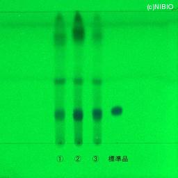 http://mpdb.nibiohn.go.jp/CONTENTS_ROOT/JP_IDENTIFICATION_PHOTO_DATA/JP_IDENTIFICATION_PHOTO_FILE/thumbnail/561.jpg