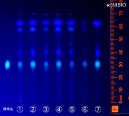 http://mpdb.nibiohn.go.jp/CONTENTS_ROOT/JP_IDENTIFICATION_PHOTO_DATA/JP_IDENTIFICATION_PHOTO_FILE/thumbnail/1294.jpg