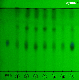 http://mpdb.nibiohn.go.jp/CONTENTS_ROOT/JP_IDENTIFICATION_PHOTO_DATA/JP_IDENTIFICATION_PHOTO_FILE/thumbnail/1297.jpg