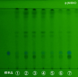 http://mpdb.nibiohn.go.jp/CONTENTS_ROOT/JP_IDENTIFICATION_PHOTO_DATA/JP_IDENTIFICATION_PHOTO_FILE/thumbnail/1344.jpg