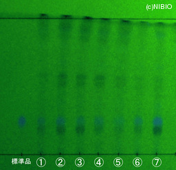 http://mpdb.nibiohn.go.jp/CONTENTS_ROOT/JP_IDENTIFICATION_PHOTO_DATA/JP_IDENTIFICATION_PHOTO_FILE/thumbnail/1345.jpg