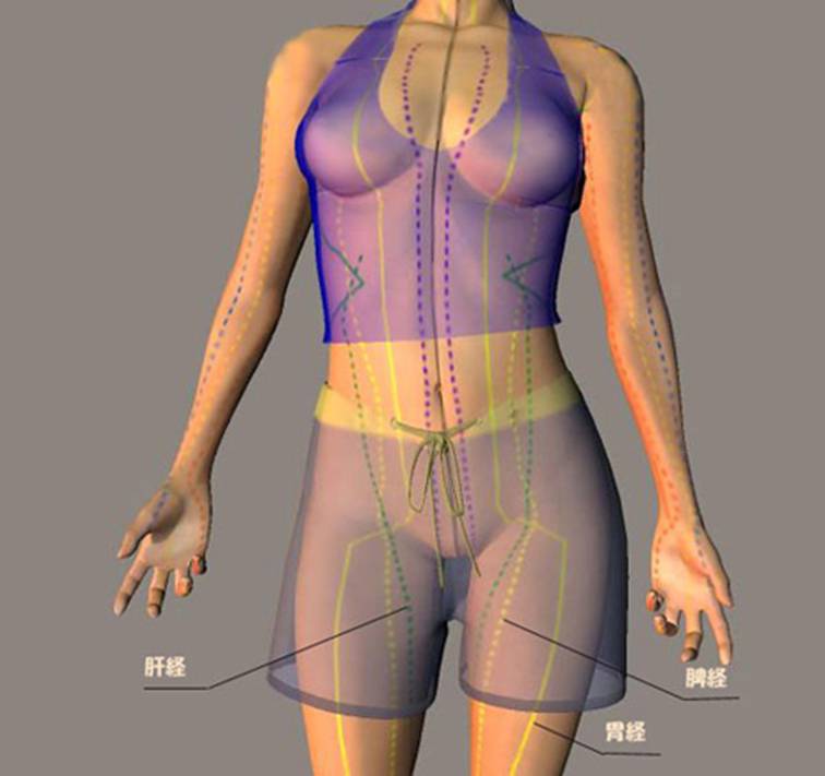体,肉体,人,人間,人体,仕組み,構造,構成,機能,経絡図,経絡
